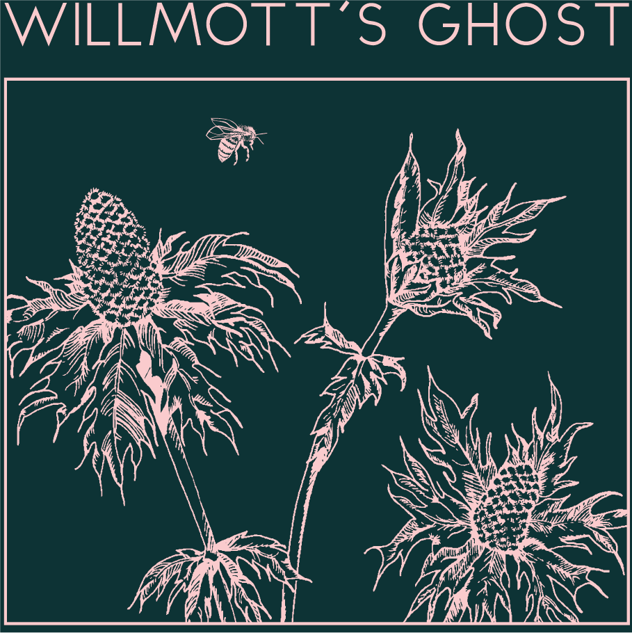 Willmott Ghost